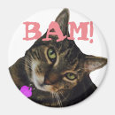 Buscar aspca Adopte