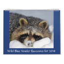 Buscar mapache calendarios Vida salvaje