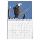 Buscar egrets otros Vida silvestre