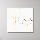 Buscar evolución lienzos Darwin