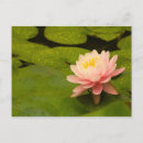 Buscar gota de lluvia postales Naturaleza