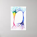 Buscar neuronas lienzos Biología