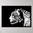Buscar jaguar posters Panthera onca