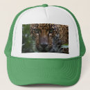 Buscar bosque del estado gorras Para ellos