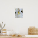 Buscar barba blanca posters Para todos