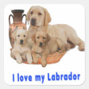 Buscar labrador retriever pegatinas Animales