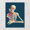 Buscar esqueleto postales Calavera