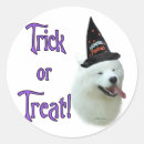 Buscar samoyedo pegatinas Perro