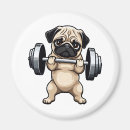 Buscar timbre imanes Ejercicio