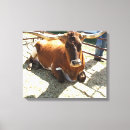 Buscar ranas lienzos Naturaleza