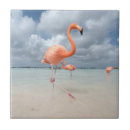 Buscar flamenco azulejos Tropical