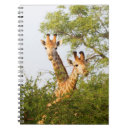 Buscar manchas libretas Animales salvajes