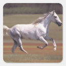 Buscar corriendo pegatinas Caballo