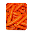 Buscar zanahoria imanes Verduras