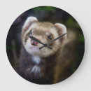 Buscar ferret relojes de pared Para todos