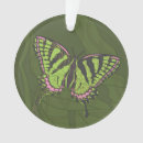 Buscar golondrinas adornos General y unisex