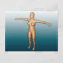 Buscar brazo humano postales Anatomía