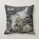 Buscar gatito precioso Lindo