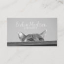 Buscar espías tarjetas de visita General y unisex