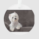 Buscar westie adornos Lindo