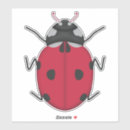 Buscar ladybug manualidades Ladímir