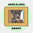 Buscar adopta pegatinas Adopción