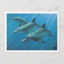 Buscar vida marina postales Delfines