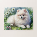 Buscar perro de pomerania puzzles Pomerano