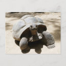 Buscar animal sonriente postales Adorable