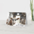 Buscar aviador tarjetas Divertido