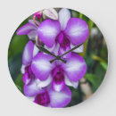 Buscar orquídea relojes de pared Naturaleza