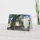 Buscar paz y armonía postales Naturaleza