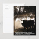 Buscar bull verticales postales Torcer