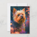 Buscar mascotas sin hogar tarjetas Perro