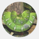 Buscar serpiente pegatinas General y unisex