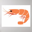 Buscar gambas posters Vida silvestre