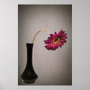Buscar capullo de rosa posters General y unisex