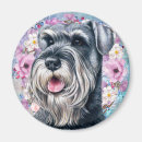 Buscar schnauzer imanes Adorable