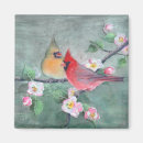Buscar cardenales imanes Acuarela