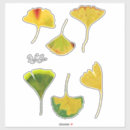 Buscar gingko General y unisex