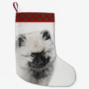 Buscar dibujo calcetines navideños Perro