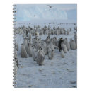 Buscar antártico libretas Hielo