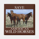 Buscar proteger imanes Entorno