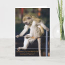 Buscar monkey tarjetas Animal