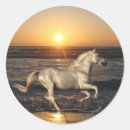 Buscar andaluz pegatinas Fantasía