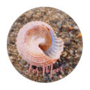 Buscar color rosa rosado tablas cortar Para ella