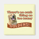 Buscar perro perdiguero imanes Goldie