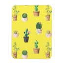 Buscar macetas imanes Jardinería