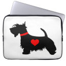 Buscar ame mi perro Amor