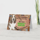 Buscar basset hound tarjetas Divertido